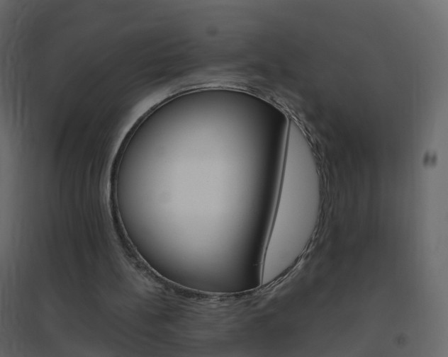 X0000096640148200802051005