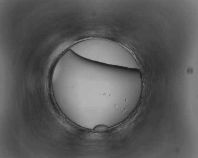 X0000096640149200802051005