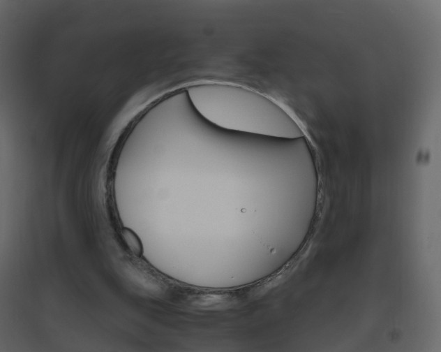 X0000096640151200802051005