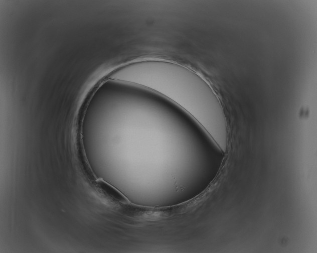 X0000096640152200802051005