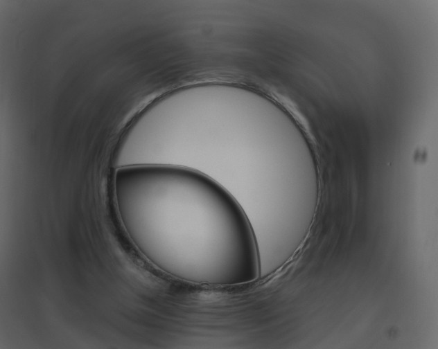 X0000096640154200802051005