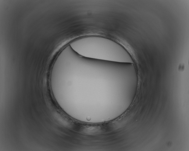 X0000096640155200802051005