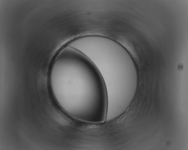 X0000096640156200802051005