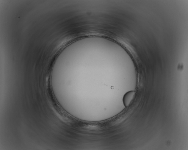 X0000096640157200802051005