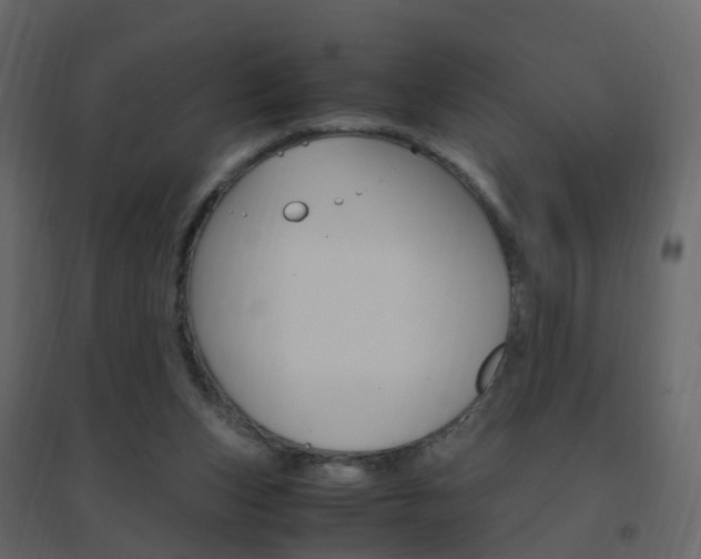 X0000096640159200802051005