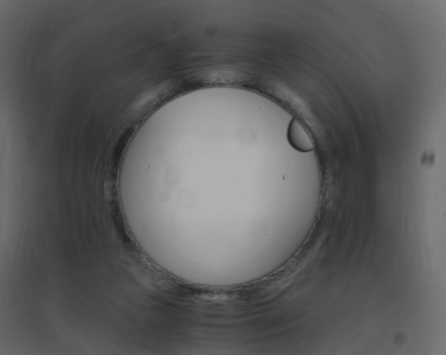 X0000096640161200802051005