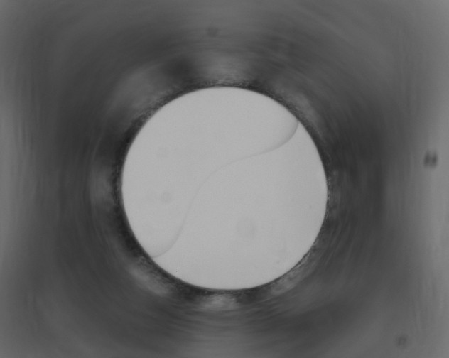 X0000096640162200802051005