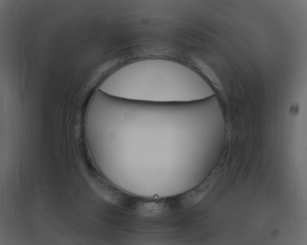 X0000096640163200802051005