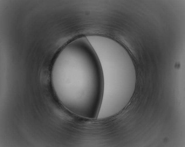 X0000096640164200802051005