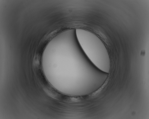X0000096640166200802051005