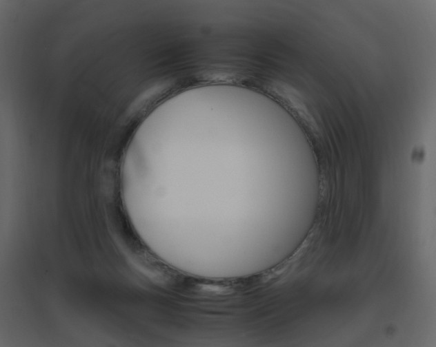 X0000096640167200802051005