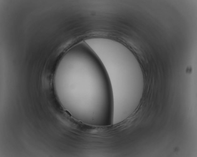 X0000096640168200802051005