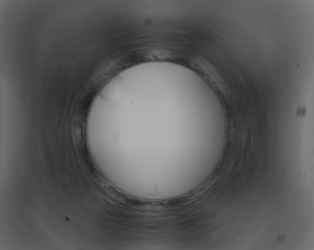 X0000096640169200802051005