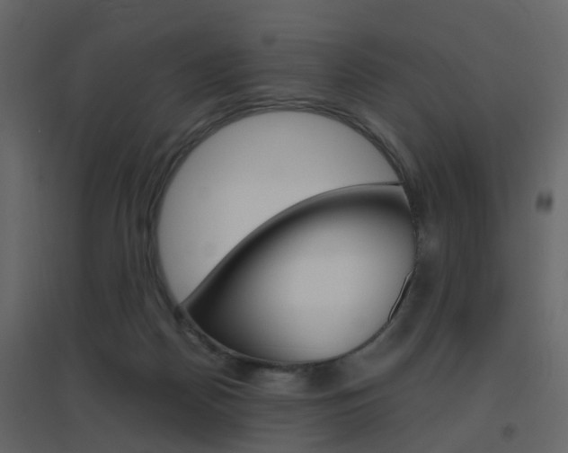 X0000096640170200802051005