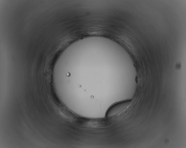 X0000096640171200802051006