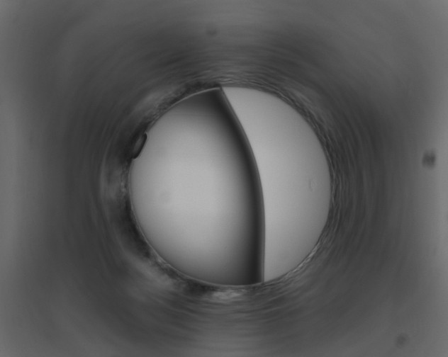 X0000096640172200802051006