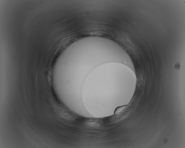 X0000096640175200802051006