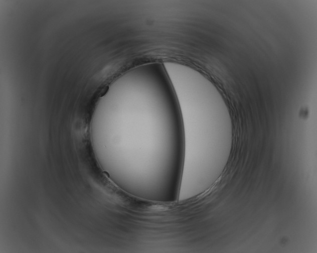 X0000096640176200802051006