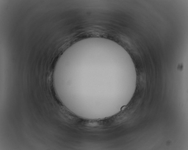 X0000096640177200802051006