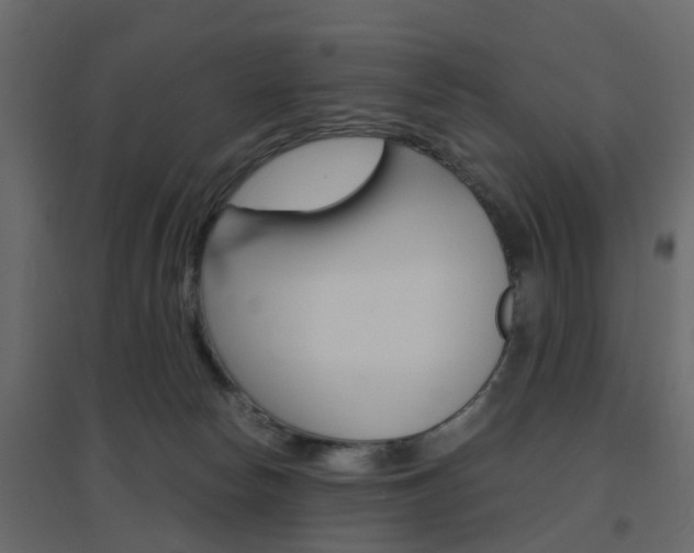 X0000096640178200802051006