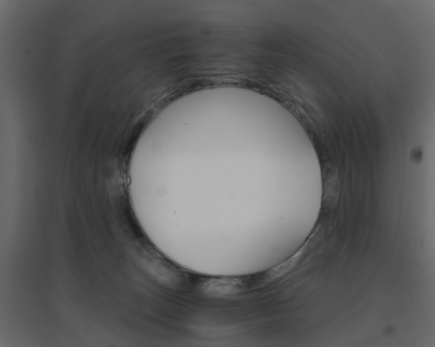 X0000096640179200802051006