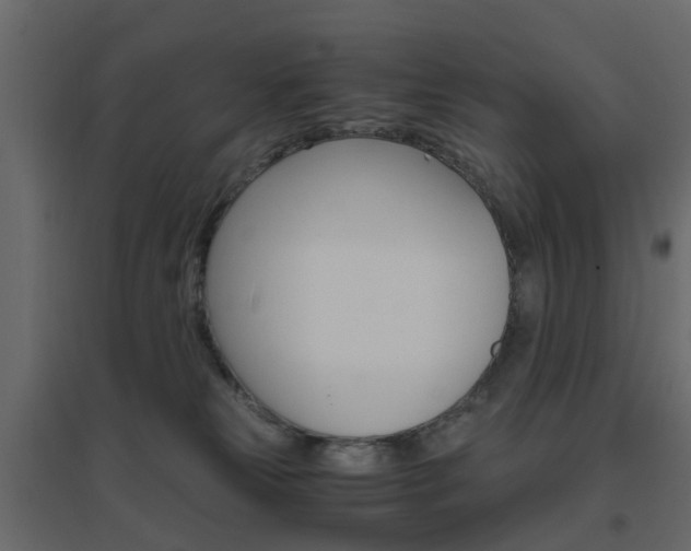 X0000096640181200802051006