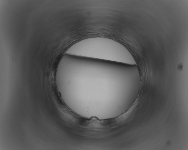 X0000096640182200802051006