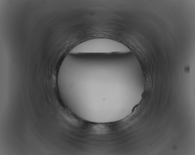 X0000096640183200802051006