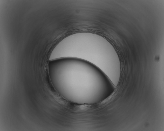 X0000096640184200802051006