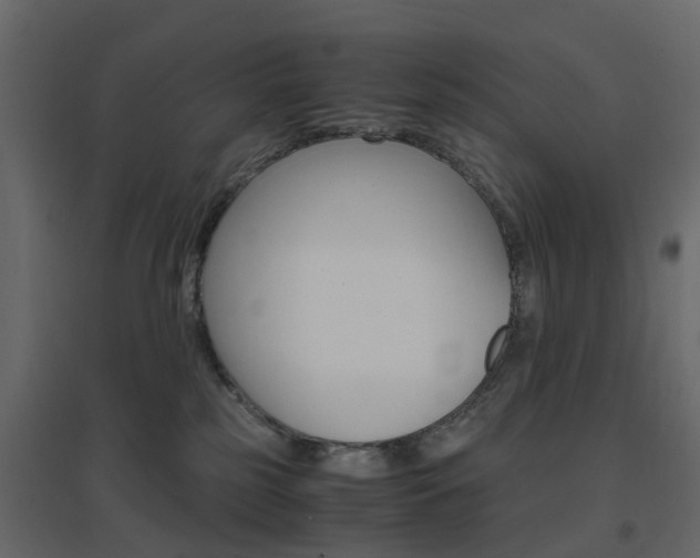 X0000096640185200802051006