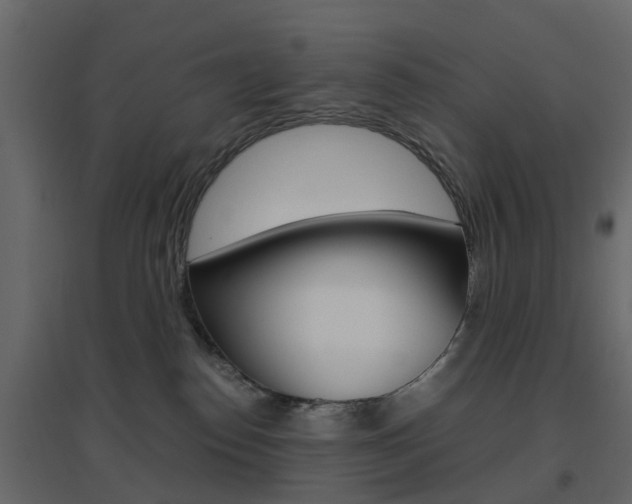 X0000096640186200802051006