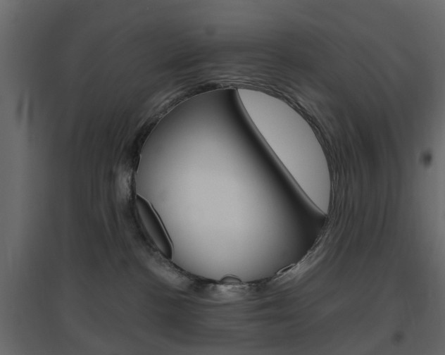 X0000096640188200802051006