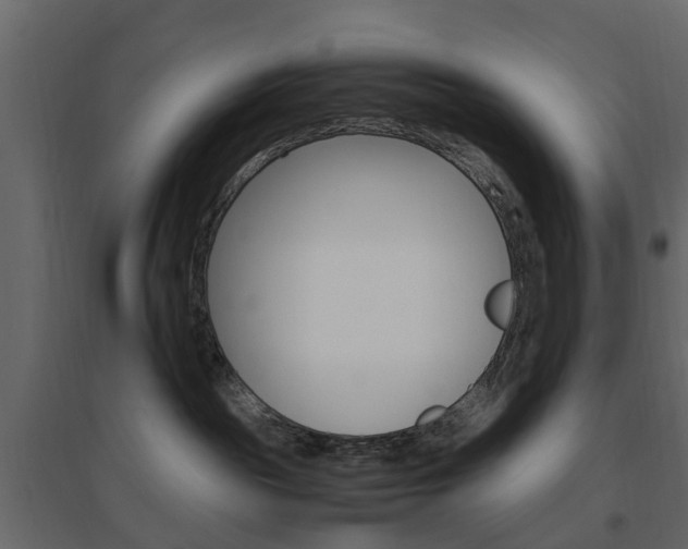 X0000096640189200802051006