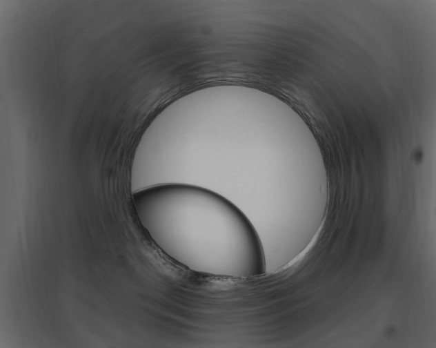 X0000096640190200802051006