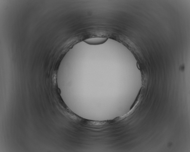 X0000096640191200802051006