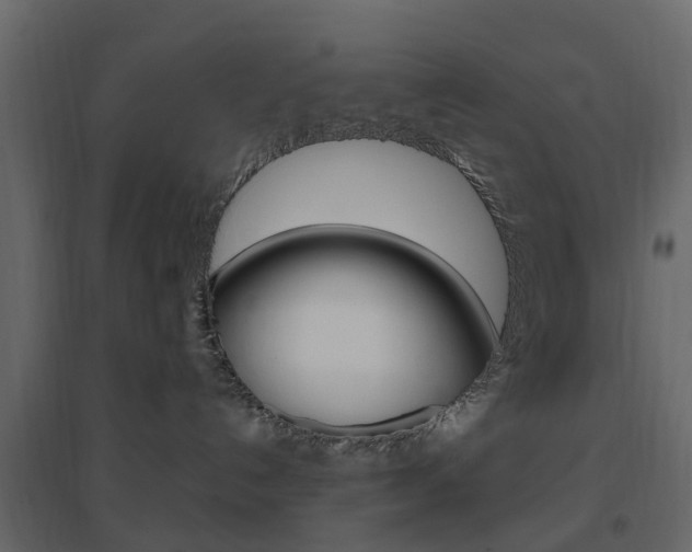 X0000096640192200802051006