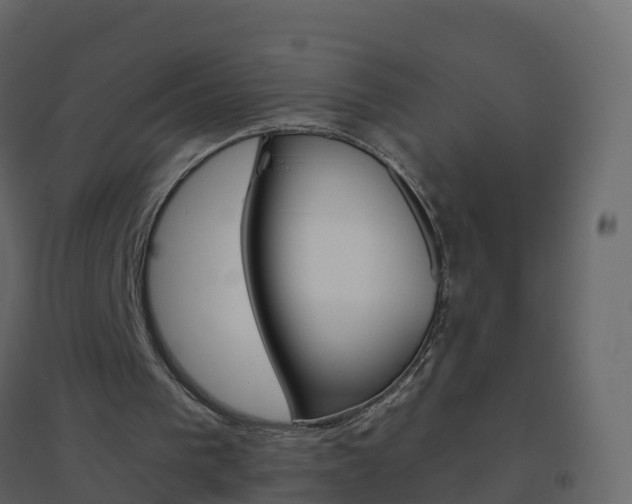X0000096640193200802051005