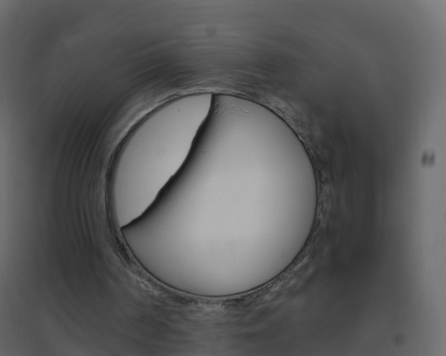X0000096640194200802051005