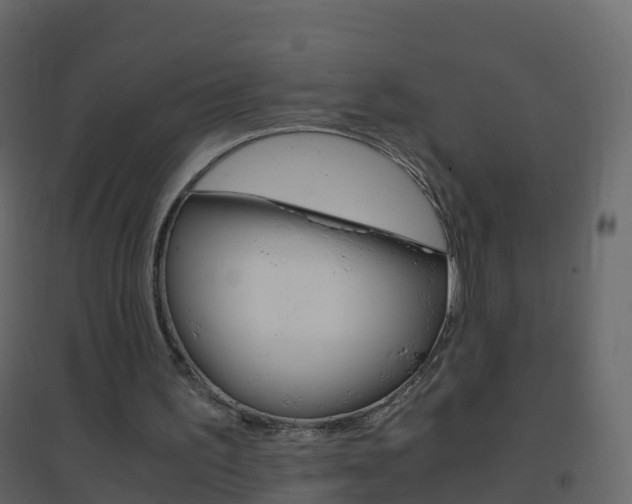 X0000096640195200802051005
