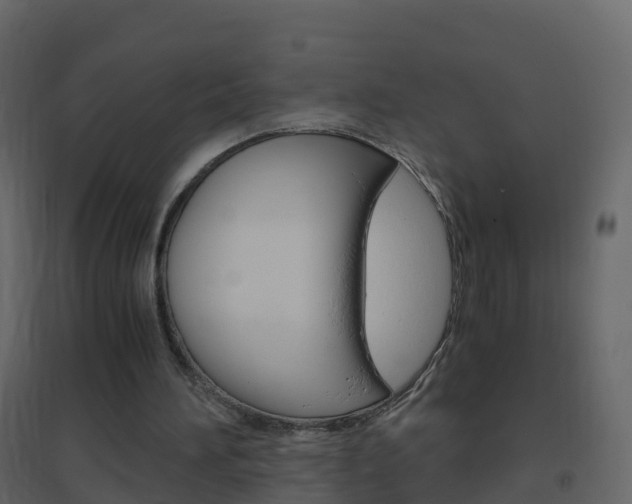 X0000096640196200802051005