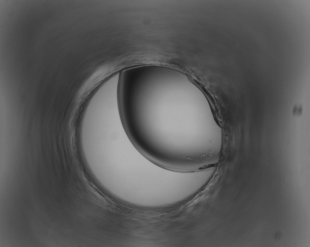 X0000096640197200802051005