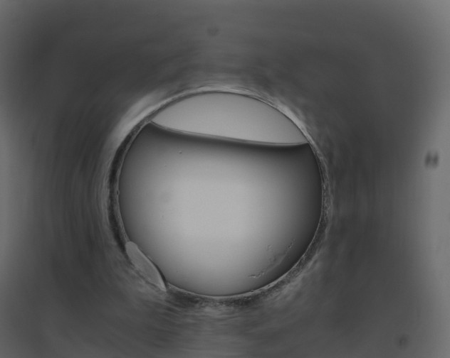 X0000096640199200802051005