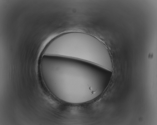 X0000096640200200802051005