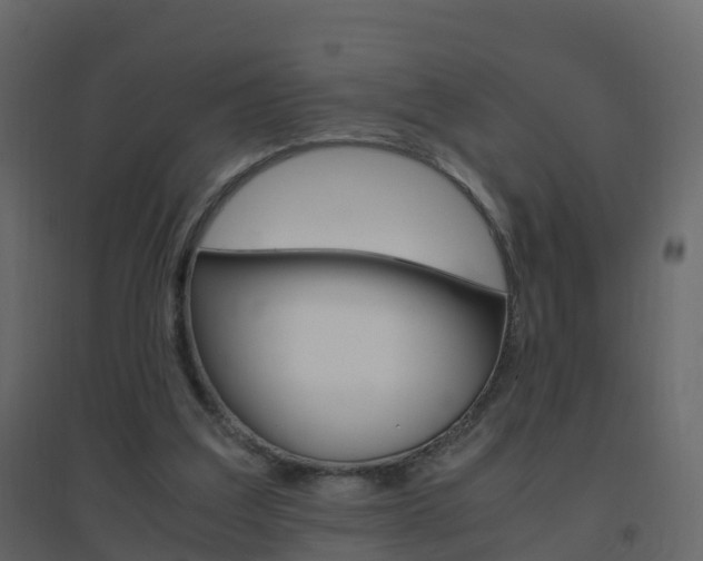 X0000096640203200802051005