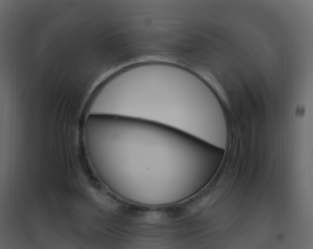 X0000096640204200802051005