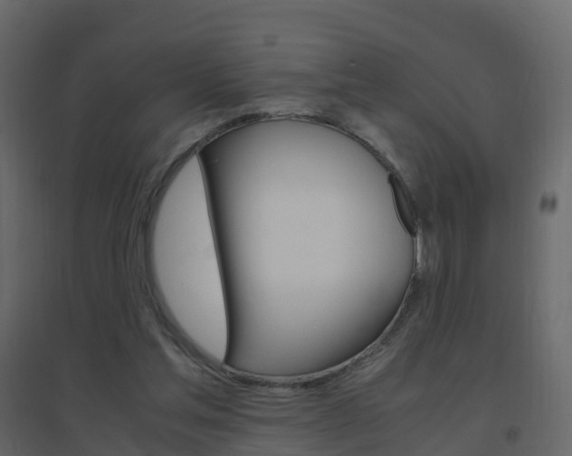 X0000096640205200802051005
