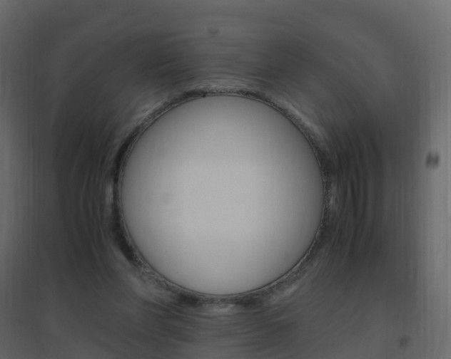 X0000096640206200802051005