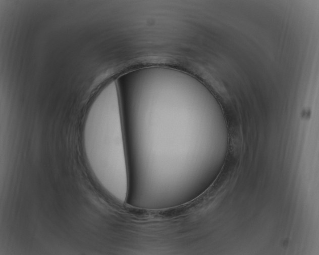 X0000096640207200802051005