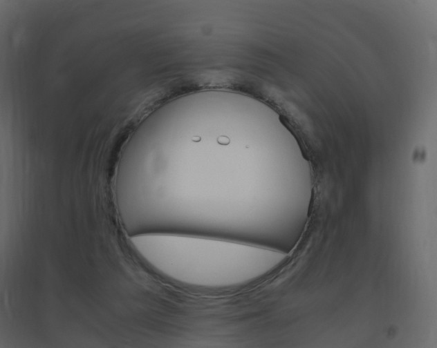 X0000096640209200802051005