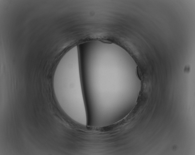 X0000096640211200802051005